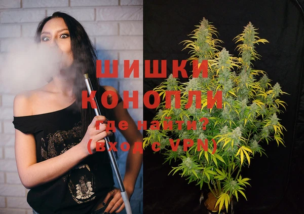 прущие грибы Зарайск