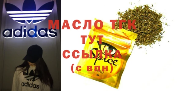 стаф Заполярный