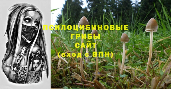 мяу мяу мука Краснотурьинск